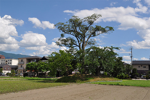 井川城